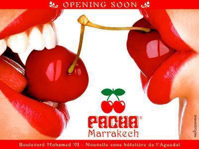 pacha